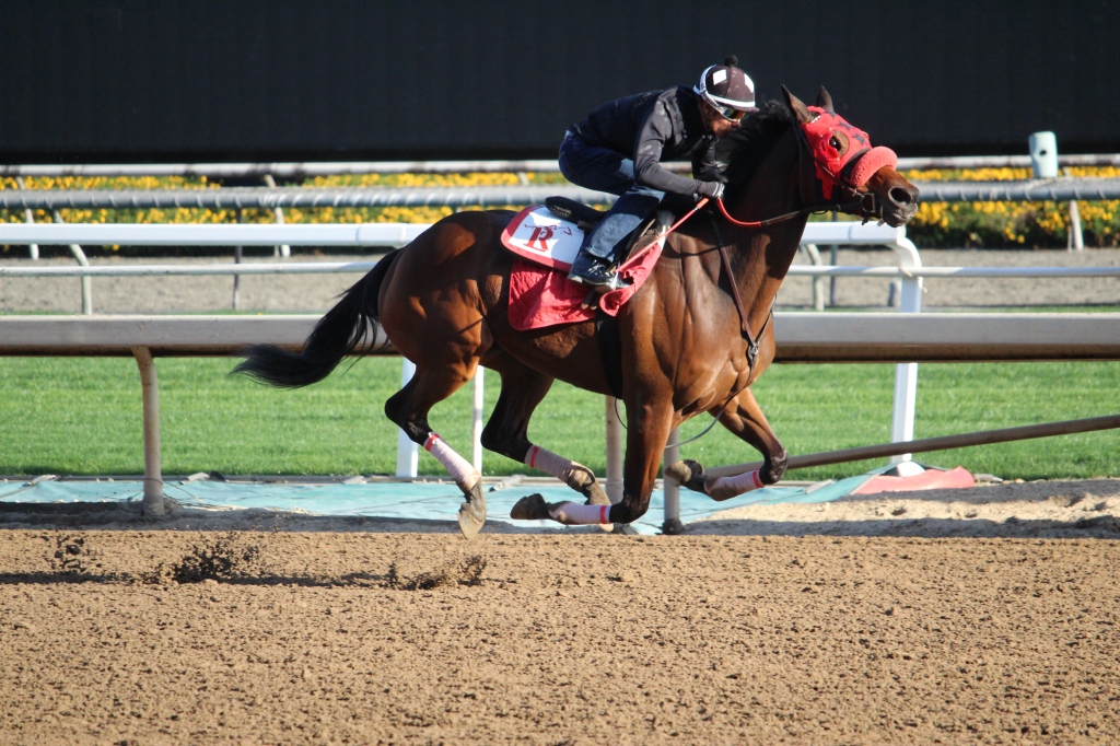 Stakes winner Queen Bee to You worked 6 furlongs in 1:13.80 this morning for trainer Andrew Lerner.