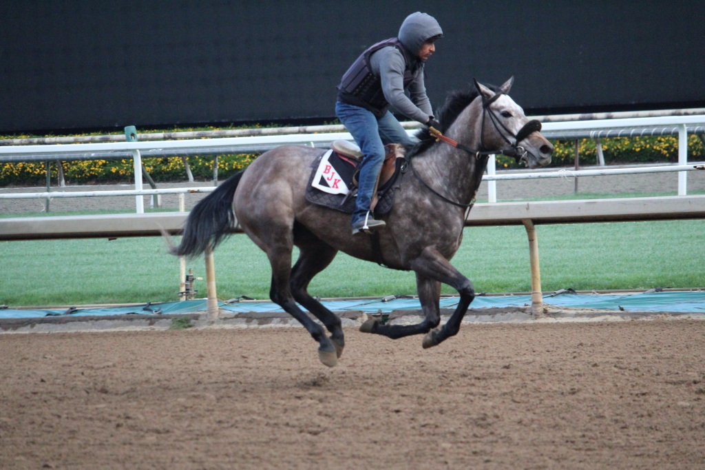 Stormin Ranger is entered in the 5th on Saturday, March 14th, at Santa Anita.