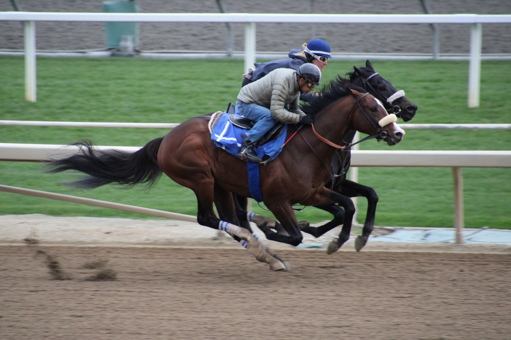 two horses working together Express Train and Midcourt