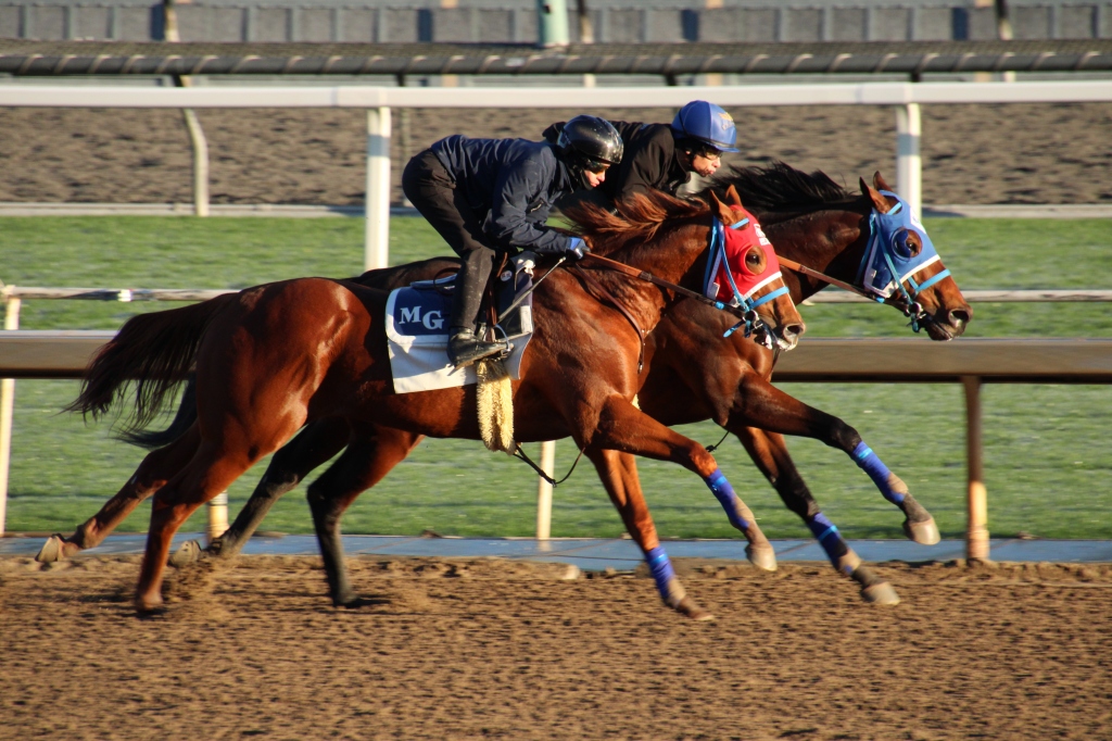 two horses working in tandem named Escape Route and Howbeit (on the inside rail) for trainer Mark Glatt