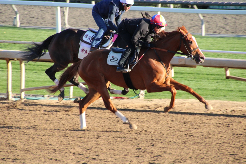 a chestnut horse named Princess Bettina working on the main track